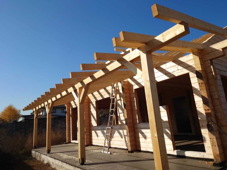 DKD FOREST - CHERESTEA LAMBRIURI BRASOV (1)