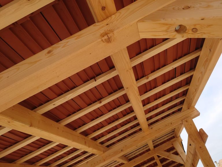 DKD FOREST - CHERESTEA LAMBRIURI BRASOV (14)