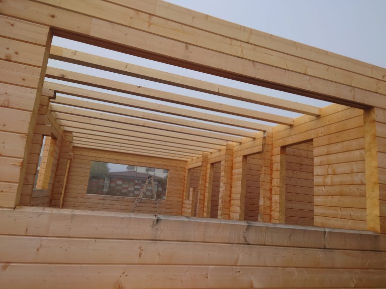 DKD FOREST - CHERESTEA LAMBRIURI BRASOV (15)