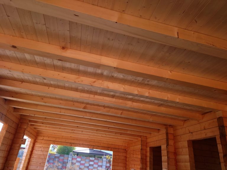 DKD FOREST - CHERESTEA LAMBRIURI BRASOV (16)