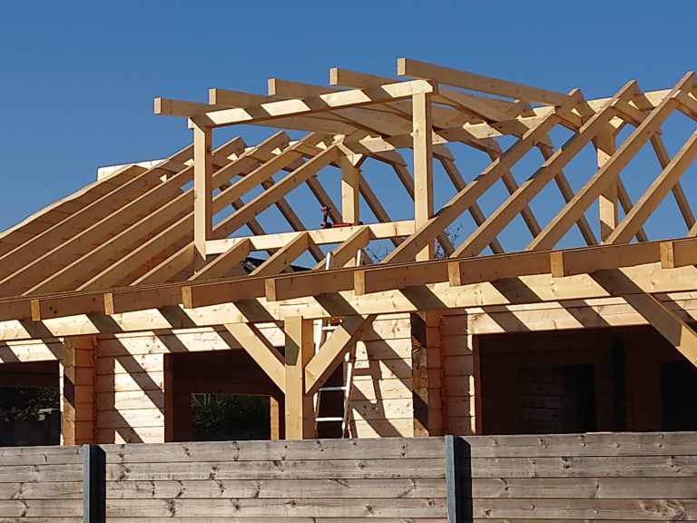 DKD FOREST - CHERESTEA LAMBRIURI BRASOV (17)