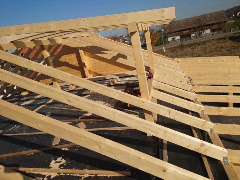 DKD FOREST - CHERESTEA LAMBRIURI BRASOV (2)