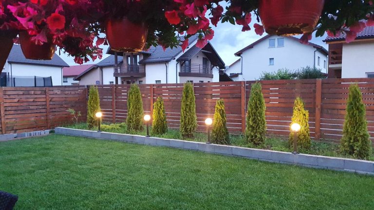 DKD FOREST - CHERESTEA LAMBRIURI BRASOV (3)