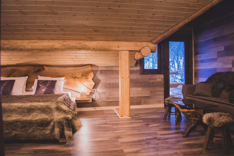 DKD FOREST - CHERESTEA LAMBRIURI BRASOV (5)