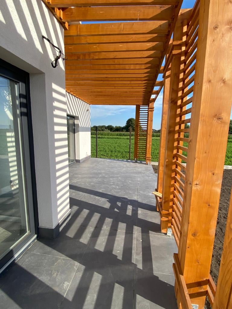 DKD FOREST - CHERESTEA LAMBRIURI BRASOV (7)