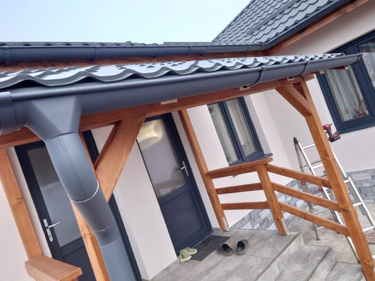 DKD FOREST - CHERESTEA LAMBRIURI BRASOV (7)